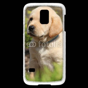 Coque Samsung Galaxy S5 Mini Portrait de chiot Labrador 800