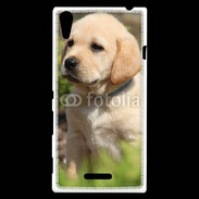 Coque Sony Xperia T3 Portrait de chiot Labrador 800