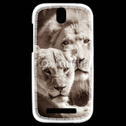 Coque HTC One SV Couple de lion et lionne 500