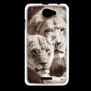 Coque HTC Desire 516 Couple de lion et lionne 500