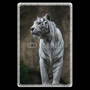 Etui carte bancaire Tigre blanc 800