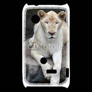 Coque Sony Xperia Typo Lionne albinos 100