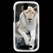 Coque HTC One SV Lionne albinos 100