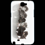 Coque Samsung Galaxy Note 2 Petit chat en folie 500