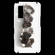 Coque Samsung Player One Petit chat en folie 500