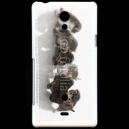 Coque Sony Xperia T Petit chat en folie 500