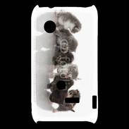Coque Sony Xperia Typo Petit chat en folie 500