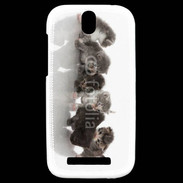 Coque HTC One SV Petit chat en folie 500