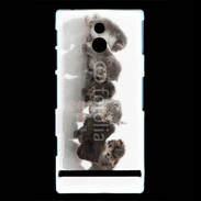 Coque Sony Xperia P Petit chat en folie 500