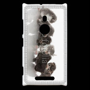 Coque Nokia Lumia 925 Petit chat en folie 500