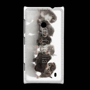 Coque Nokia Lumia 520 Petit chat en folie 500