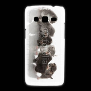Coque Samsung Galaxy Express2 Petit chat en folie 500