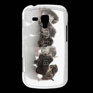 Coque Samsung Galaxy Trend Petit chat en folie 500