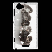 Coque Sony Xperia L Petit chat en folie 500