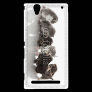 Coque Sony Xperia T2 Ultra Petit chat en folie 500