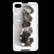 Coque Blackberry Z30 Petit chat en folie 500