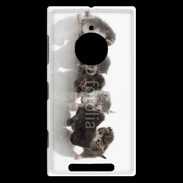 Coque Nokia Lumia 830 Petit chat en folie 500