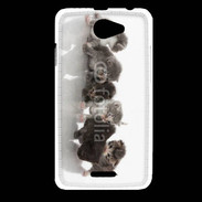 Coque HTC Desire 516 Petit chat en folie 500
