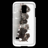 Coque Samsung Galaxy S5 Mini Petit chat en folie 500