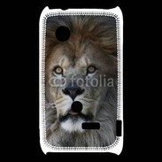 Coque Sony Xperia Typo Regard de Lion 900