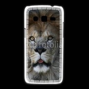 Coque Samsung Galaxy Express2 Regard de Lion 900