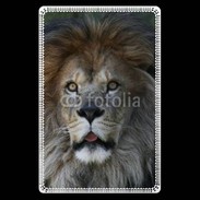 Etui carte bancaire Regard de Lion 900