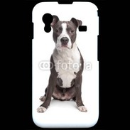 Coque Samsung ACE S5830 American Staffordshire Terrier puppy