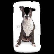 Coque Samsung Galaxy Ace 2 American Staffordshire Terrier puppy