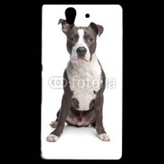 Coque Sony Xperia Z American Staffordshire Terrier puppy