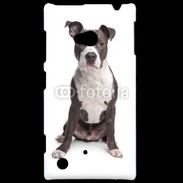 Coque Nokia Lumia 720 American Staffordshire Terrier puppy