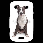 Coque Blackberry Bold 9900 American Staffordshire Terrier puppy