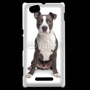 Coque Sony Xperia M American Staffordshire Terrier puppy
