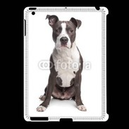 Coque iPad 2/3 American Staffordshire Terrier puppy