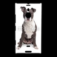 Coque Nokia Lumia 1520 American Staffordshire Terrier puppy