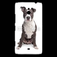 Coque Nokia Lumia 1320 American Staffordshire Terrier puppy