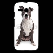 Coque Motorola G American Staffordshire Terrier puppy