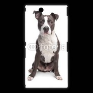 Coque Sony Xpéria Z Ultra American Staffordshire Terrier puppy