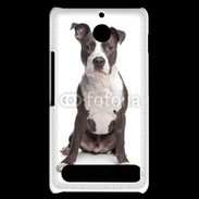 Coque Sony Xperia E1 American Staffordshire Terrier puppy