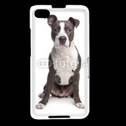 Coque Blackberry Z30 American Staffordshire Terrier puppy