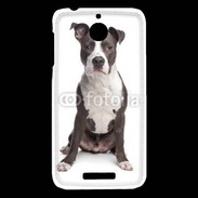 Coque HTC Desire 510 American Staffordshire Terrier puppy