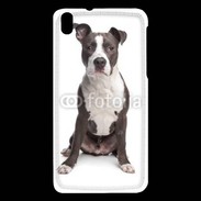 Coque HTC Desire 816 American Staffordshire Terrier puppy