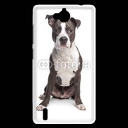 Coque Huawei Ascend G740 American Staffordshire Terrier puppy