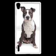 Coque Huawei Ascend P7 American Staffordshire Terrier puppy