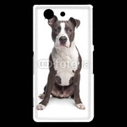 Coque Sony Xperia Z3 Compact American Staffordshire Terrier puppy
