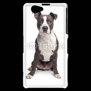 Coque Sony Xperia Z1 Compact American Staffordshire Terrier puppy
