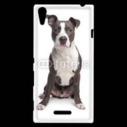 Coque Sony Xperia T3 American Staffordshire Terrier puppy
