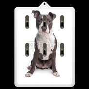 Porte clés American Staffordshire Terrier puppy