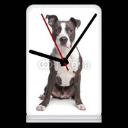 Pendule de bureau American Staffordshire Terrier puppy