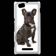 Coque Sony Xperia M Chiot Bulldog français 630