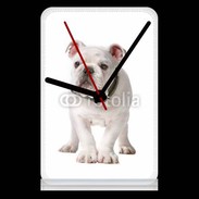 Pendule de bureau Chiot Bulldog français 610